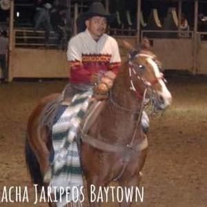 Meet your Posher, Luisillo